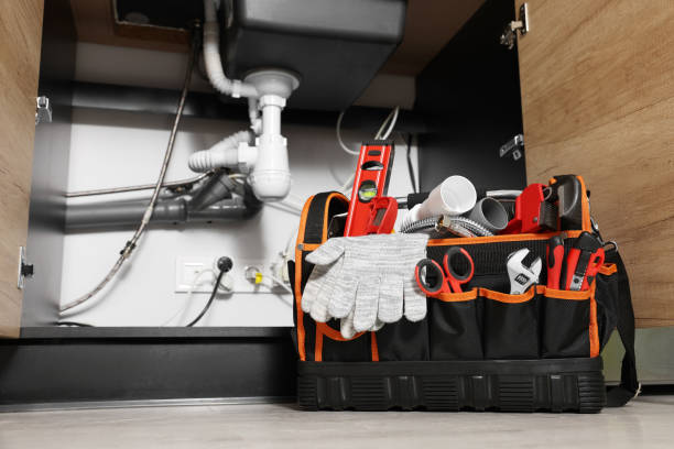 Best Clogged Drain Plumber  in Newark, IL
